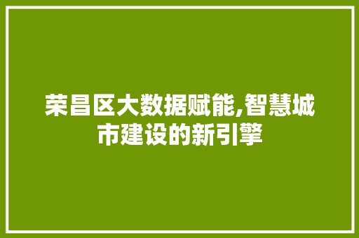 荣昌区大数据赋能,智慧城市建设的新引擎