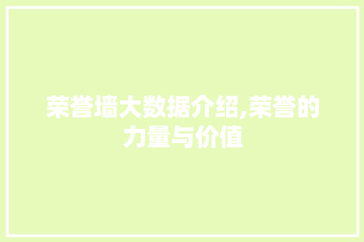 荣誉墙大数据介绍,荣誉的力量与价值