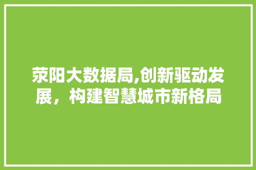 荥阳大数据局,创新驱动发展，构建智慧城市新格局