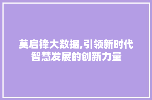 莫启锋大数据,引领新时代智慧发展的创新力量