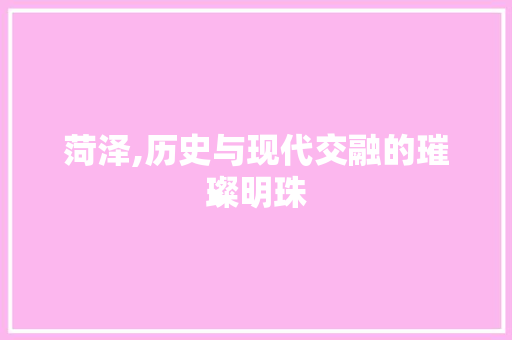 菏泽,历史与现代交融的璀璨明珠