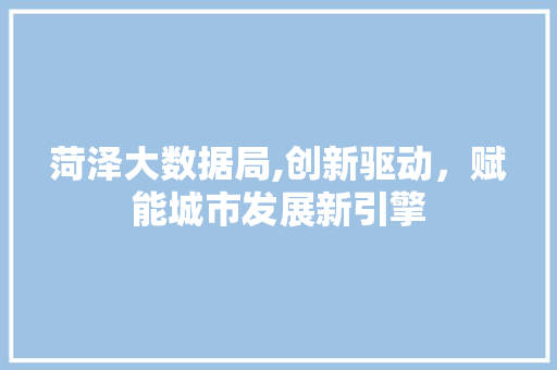 菏泽大数据局,创新驱动，赋能城市发展新引擎 AI技术学习