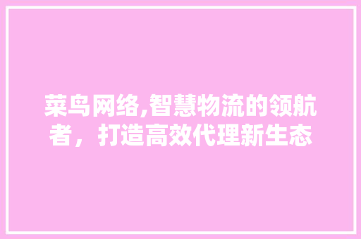菜鸟网络,智慧物流的领航者，打造高效代理新生态