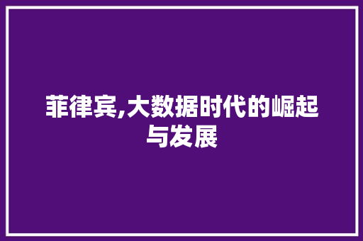 菲律宾,大数据时代的崛起与发展