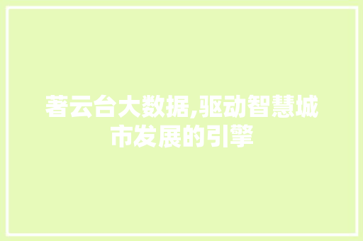 著云台大数据,驱动智慧城市发展的引擎