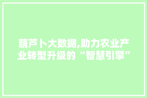葫芦卜大数据,助力农业产业转型升级的“智慧引擎” 网站优化