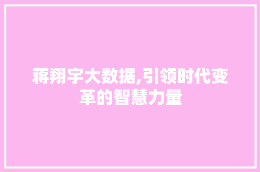 蒋翔宇大数据,引领时代变革的智慧力量