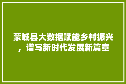蒙城县大数据赋能乡村振兴，谱写新时代发展新篇章