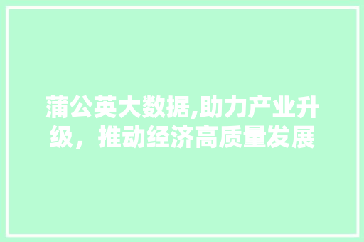 蒲公英大数据,助力产业升级，推动经济高质量发展
