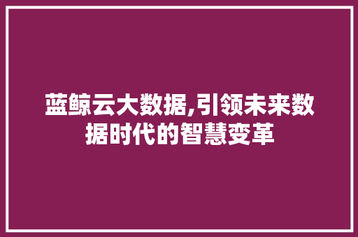 蓝鲸云大数据,引领未来数据时代的智慧变革