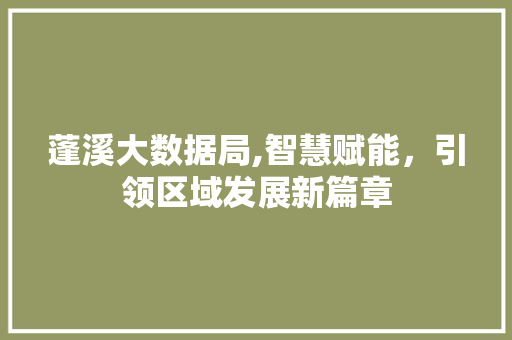 蓬溪大数据局,智慧赋能，引领区域发展新篇章
