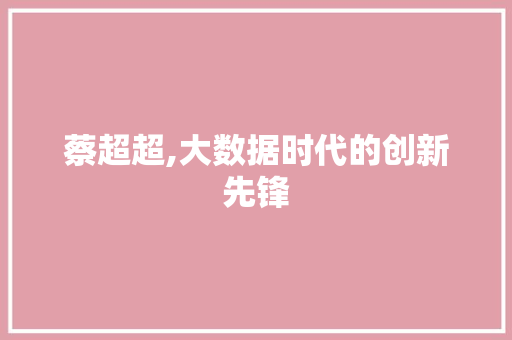 蔡超超,大数据时代的创新先锋