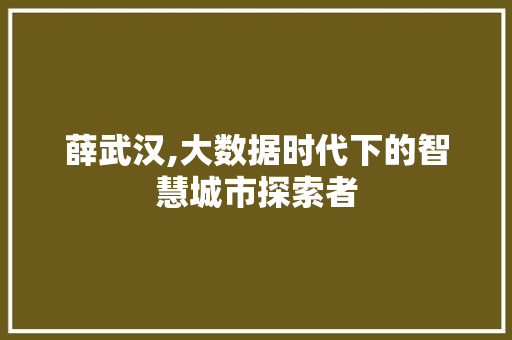 薛武汉,大数据时代下的智慧城市探索者