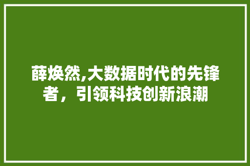 薛焕然,大数据时代的先锋者，引领科技创新浪潮