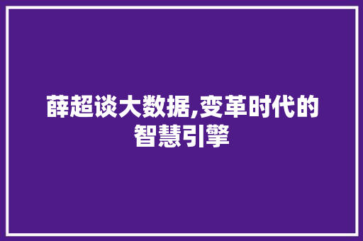 薛超谈大数据,变革时代的智慧引擎