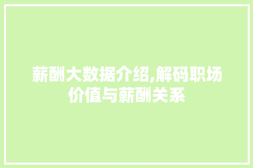 薪酬大数据介绍,解码职场价值与薪酬关系