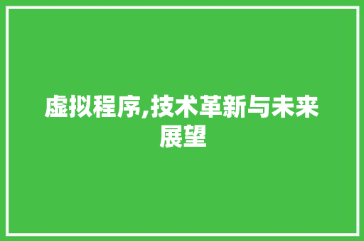 虚拟程序,技术革新与未来展望