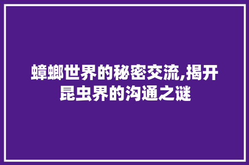 蟑螂世界的秘密交流,揭开昆虫界的沟通之谜