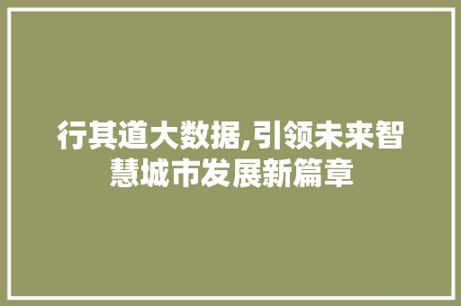 行其道大数据,引领未来智慧城市发展新篇章