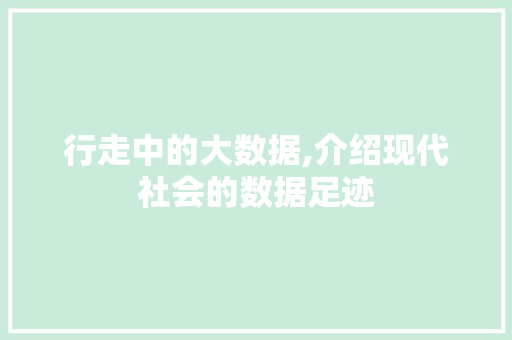 行走中的大数据,介绍现代社会的数据足迹