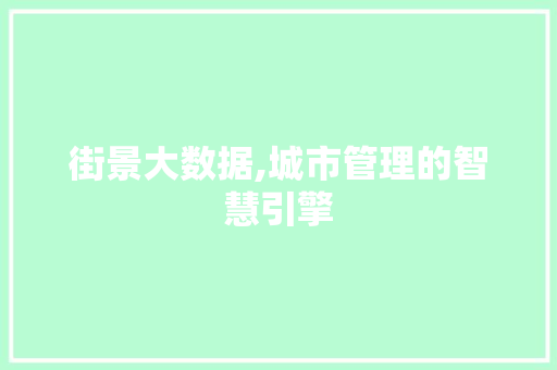 街景大数据,城市管理的智慧引擎