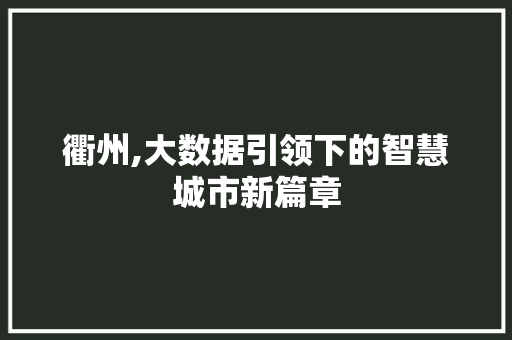 衢州,大数据引领下的智慧城市新篇章