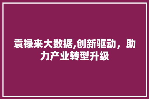 袁禄来大数据,创新驱动，助力产业转型升级