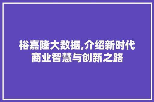 裕嘉隆大数据,介绍新时代商业智慧与创新之路