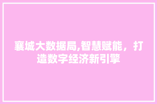 襄城大数据局,智慧赋能，打造数字经济新引擎