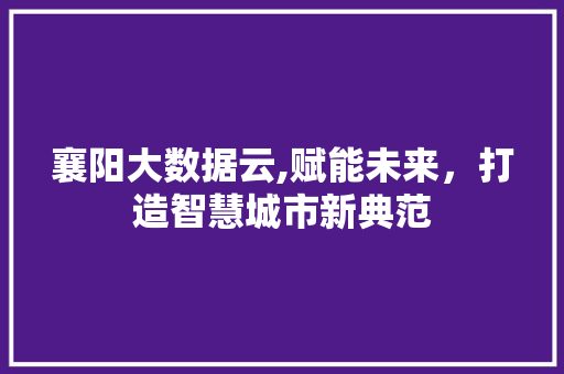 襄阳大数据云,赋能未来，打造智慧城市新典范