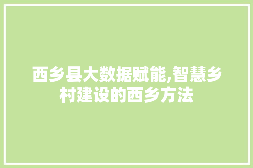 西乡县大数据赋能,智慧乡村建设的西乡方法