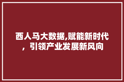 西人马大数据,赋能新时代，引领产业发展新风向