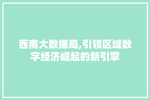 西南大数据局,引领区域数字经济崛起的新引擎