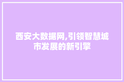 西安大数据网,引领智慧城市发展的新引擎