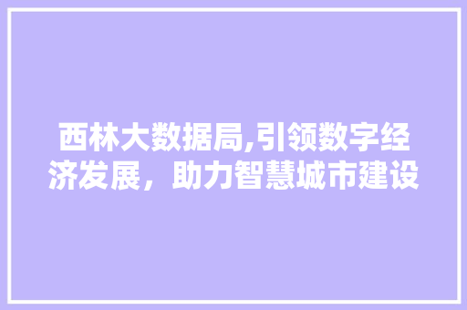 西林大数据局,引领数字经济发展，助力智慧城市建设