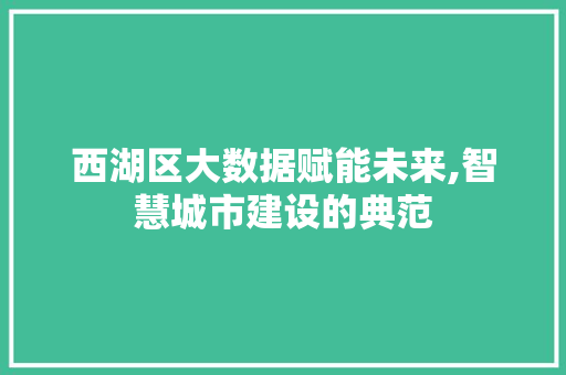 西湖区大数据赋能未来,智慧城市建设的典范