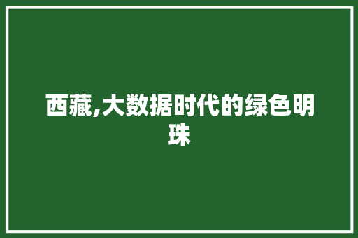 西藏,大数据时代的绿色明珠