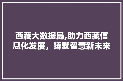 西藏大数据局,助力西藏信息化发展，铸就智慧新未来
