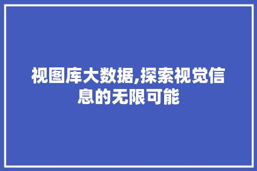 视图库大数据,探索视觉信息的无限可能