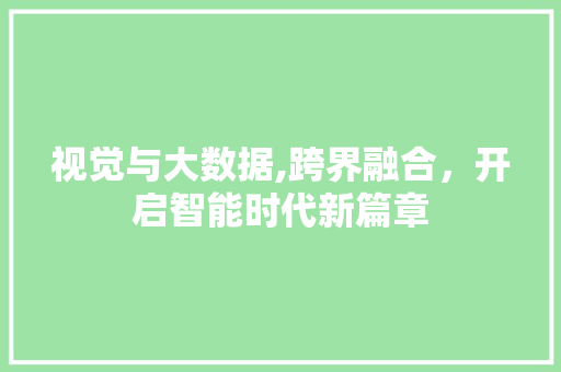 视觉与大数据,跨界融合，开启智能时代新篇章