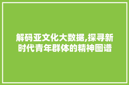 解码亚文化大数据,探寻新时代青年群体的精神图谱