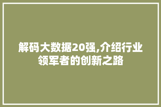 解码大数据20强,介绍行业领军者的创新之路