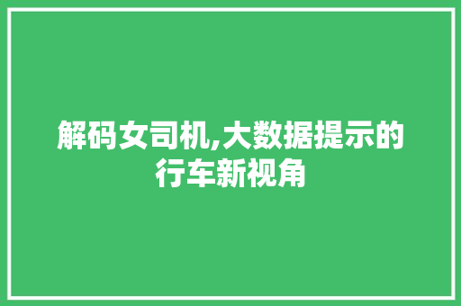 解码女司机,大数据提示的行车新视角 网站开发