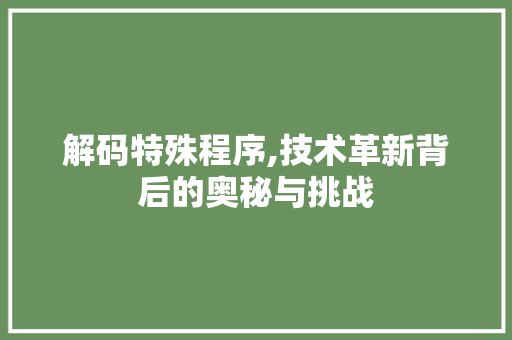 解码特殊程序,技术革新背后的奥秘与挑战