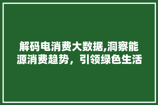 解码电消费大数据,洞察能源消费趋势，引领绿色生活新风尚 网站开发
