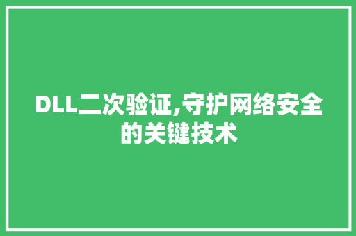 DLL二次验证,守护网络安全的关键技术