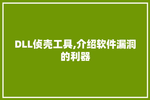 DLL侦壳工具,介绍软件漏洞的利器