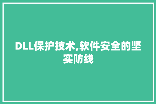 DLL保护技术,软件安全的坚实防线 英文谷歌算法