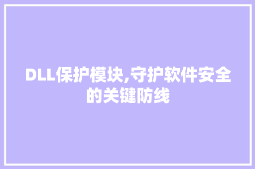 DLL保护模块,守护软件安全的关键防线
