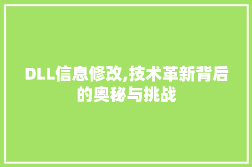 DLL信息修改,技术革新背后的奥秘与挑战